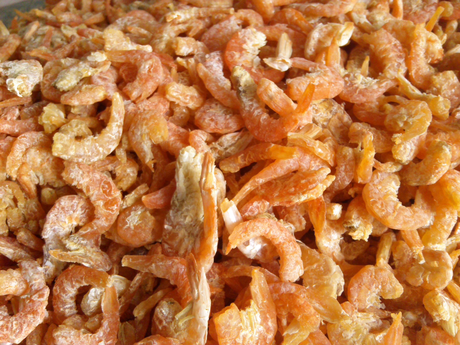 清泉大海米 /原干金钩海米/即食干虾仁/虾干/无色素无添加虾米图片_15