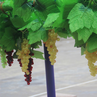 仿真加密葡萄藤条批发水果串藤家居客厅阳台厨房吊顶壁挂花藤装饰