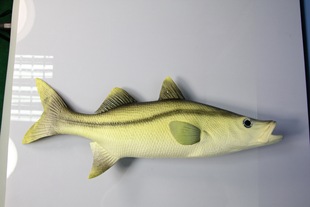 仿真 假海鲜 金枪鱼