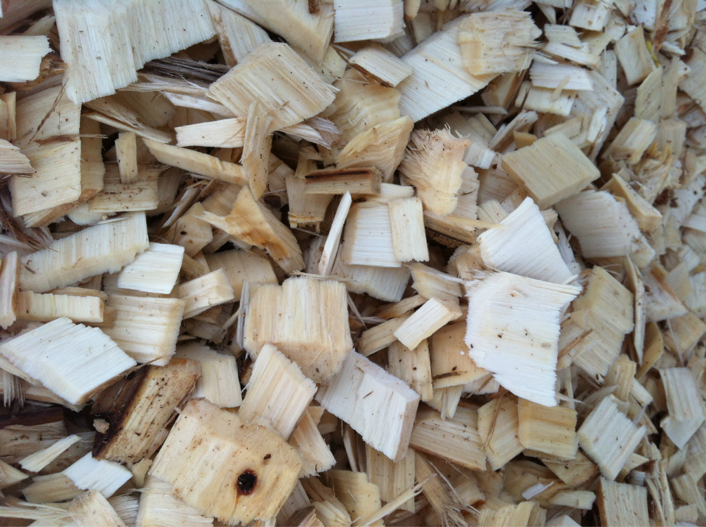 杨树木片(造纸用)