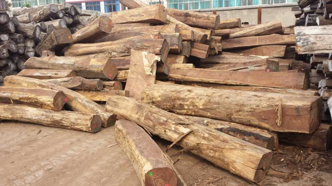 【申梓木材】进口 批发伯利兹黄檀 大叶黄花梨 18662141988