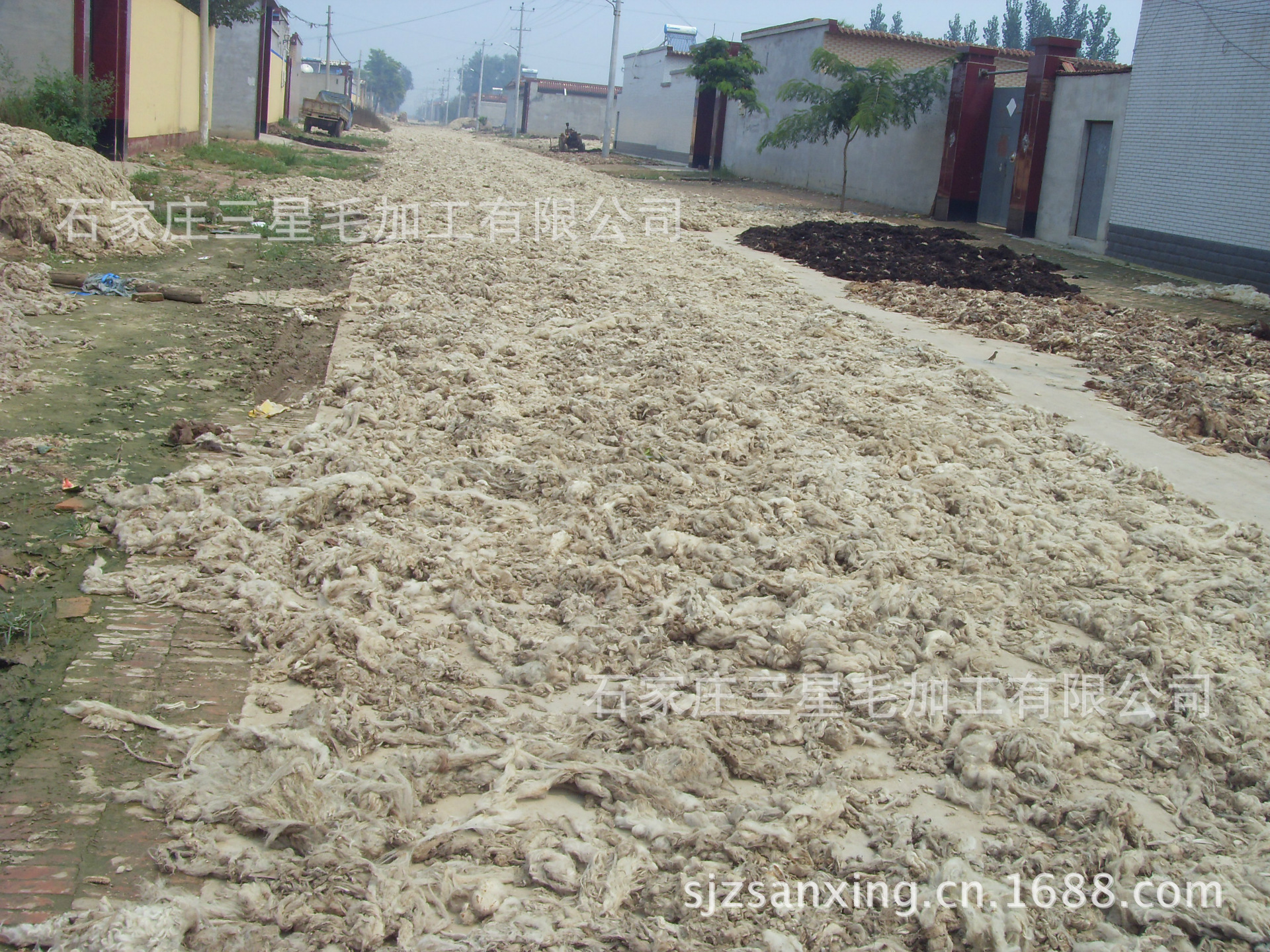 绵羊毛,山羊毛,落毛,毛渣