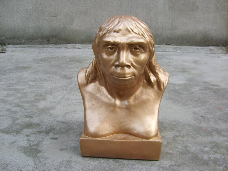 山东销售北京猿人头像 北京人头像教学模型 潍坊教学模型供应