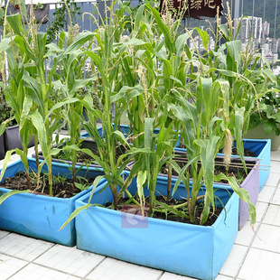 供应种菜袋耐用防水美植袋