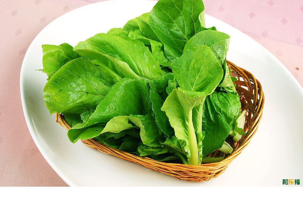 原料辅料,初加工材料 农产品 新鲜蔬菜 叶菜类 供应绿色优质无公害