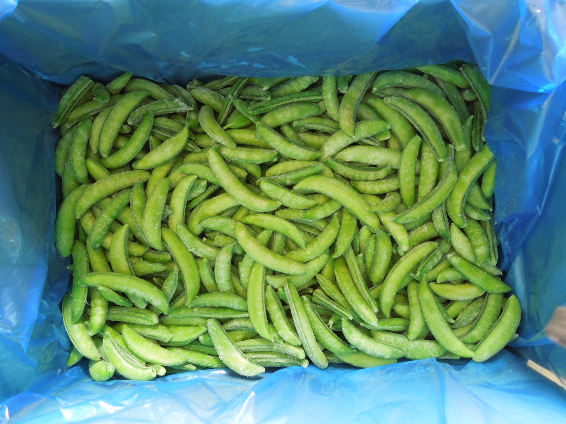 销售出口速冻食品冷冻甜豌豆长49cm厚13以下半成品4600成品7000