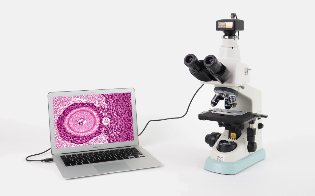尼康e100数码生物显微镜