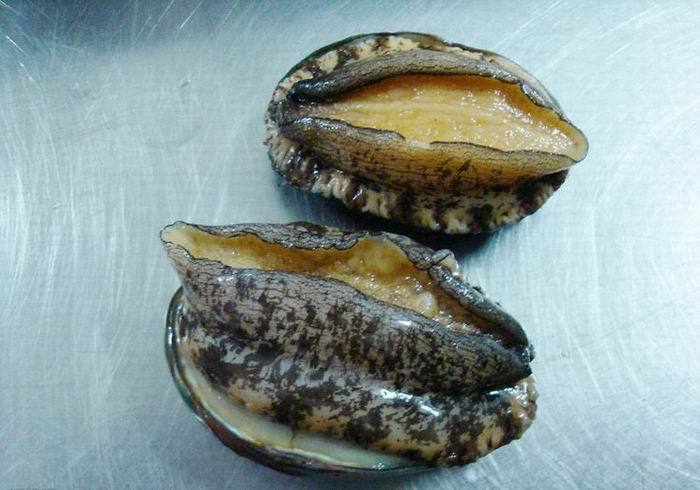 养殖场直销供应批发鲜活南日鲍鱼 17~18粒鲍