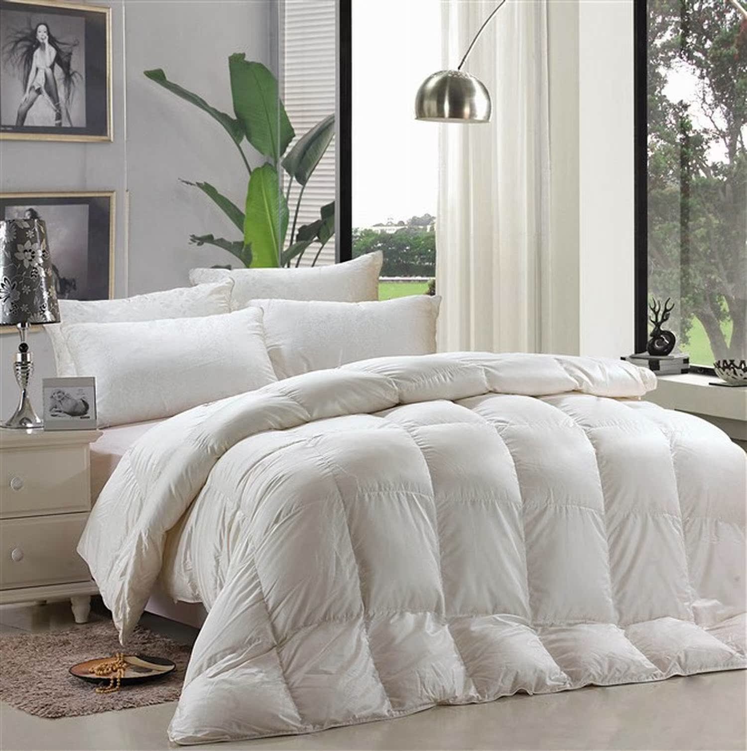 厂商 新款特价柔赛丝超柔软羽绒被子被芯