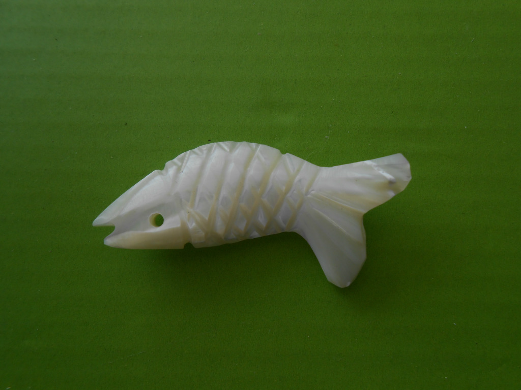 贝壳鱼 贝壳产品贝壳装饰品 工艺品