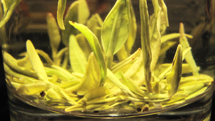 厂家出售正品建德苞茶商务茶旅行用茶