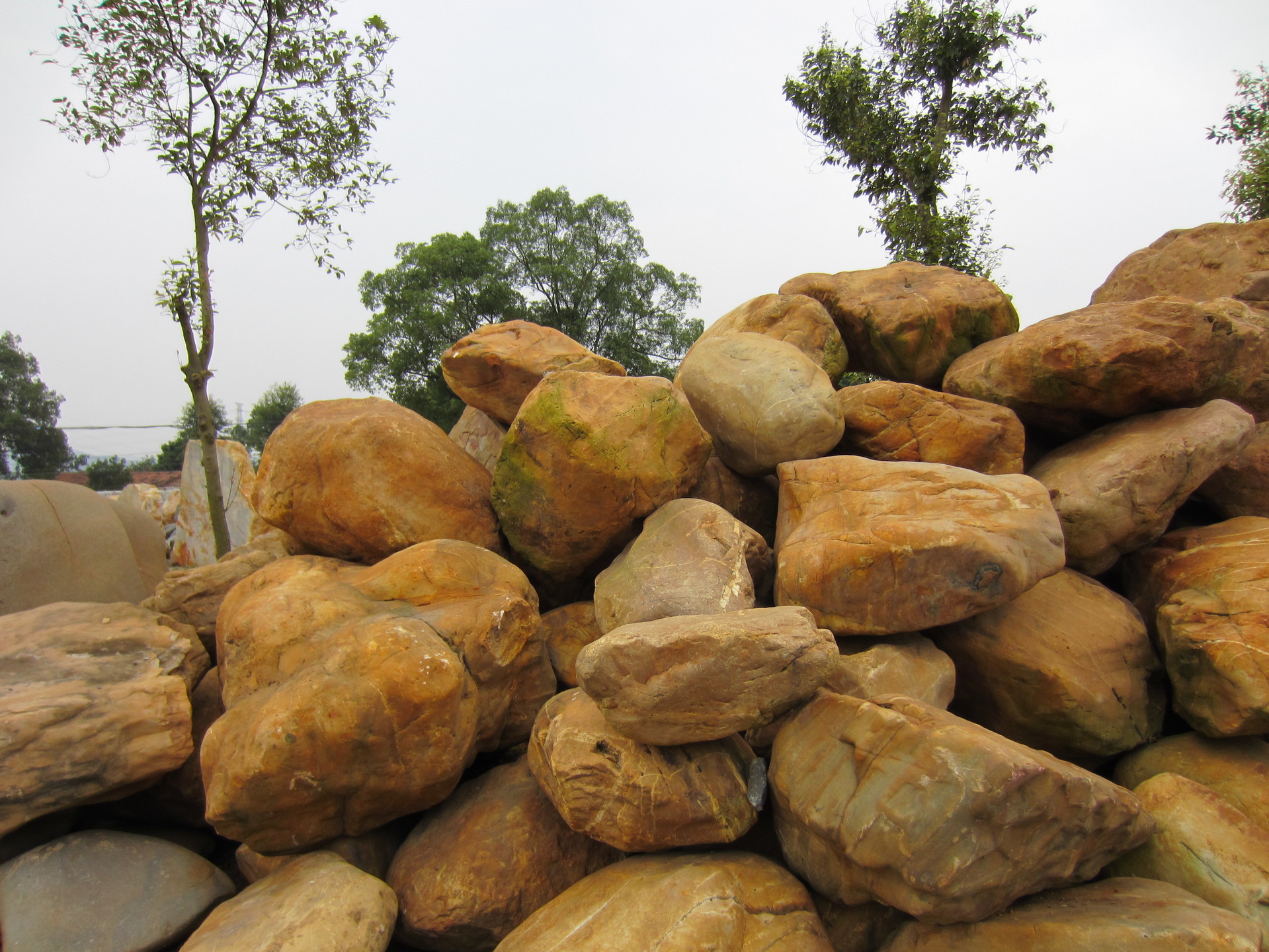 低价批发黄蜡石,假山石,黄腊石,景观石,黄石,园林景观石