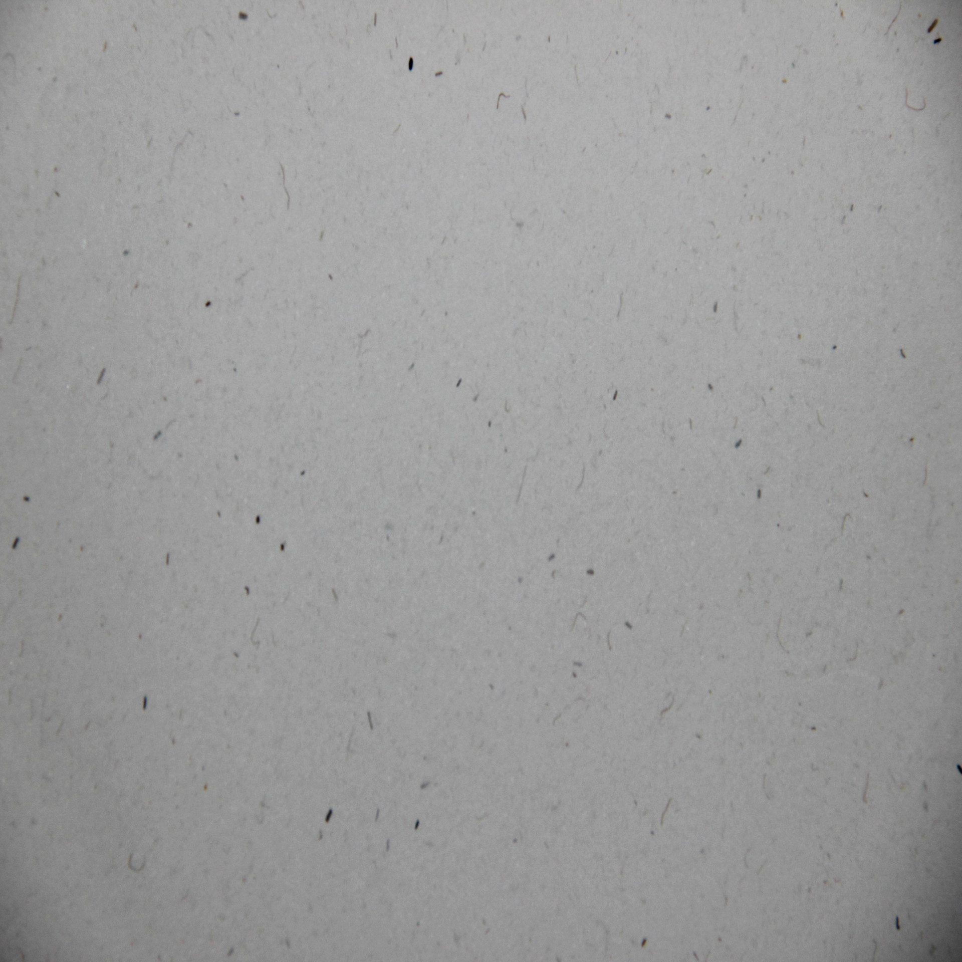 厂价供应 环保石斑纸艺术纸 特种纸