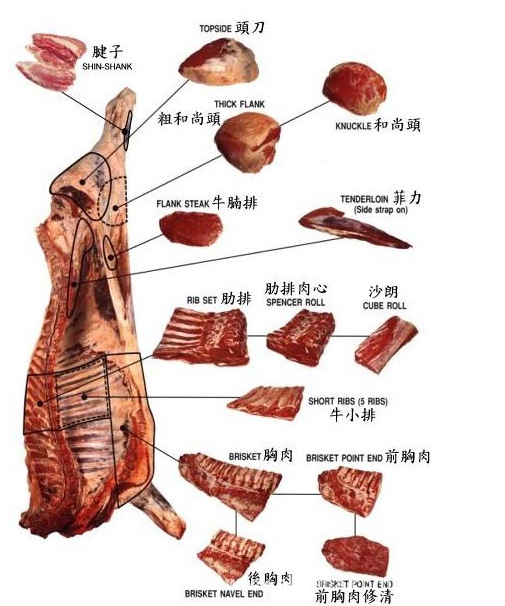 牛肉怎么切片图解图片