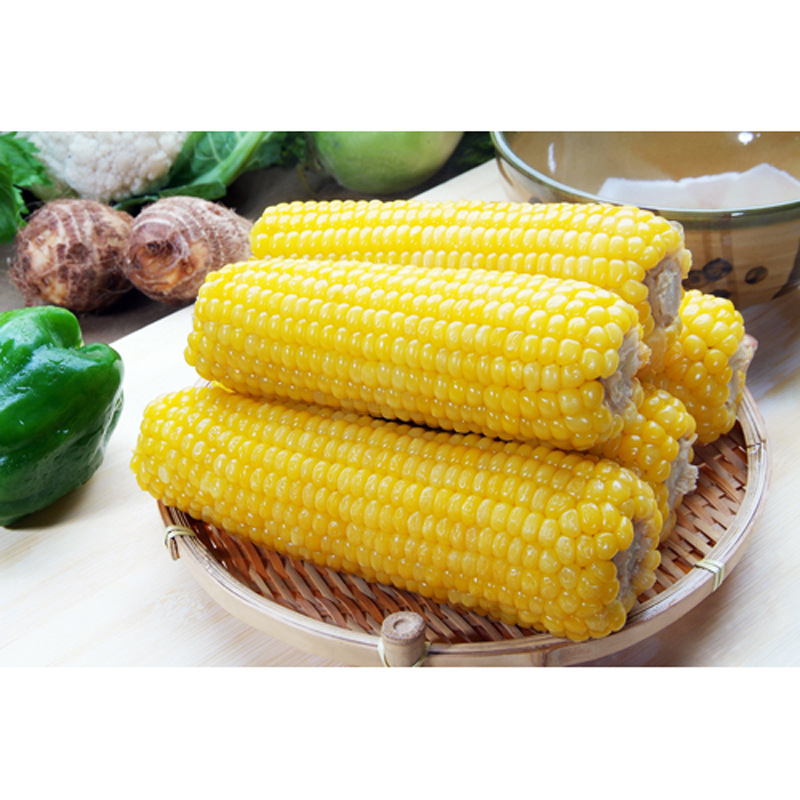 供应 速冻玉米 速冻超甜玉米粒 优质速冻玉米 欢迎来电订购