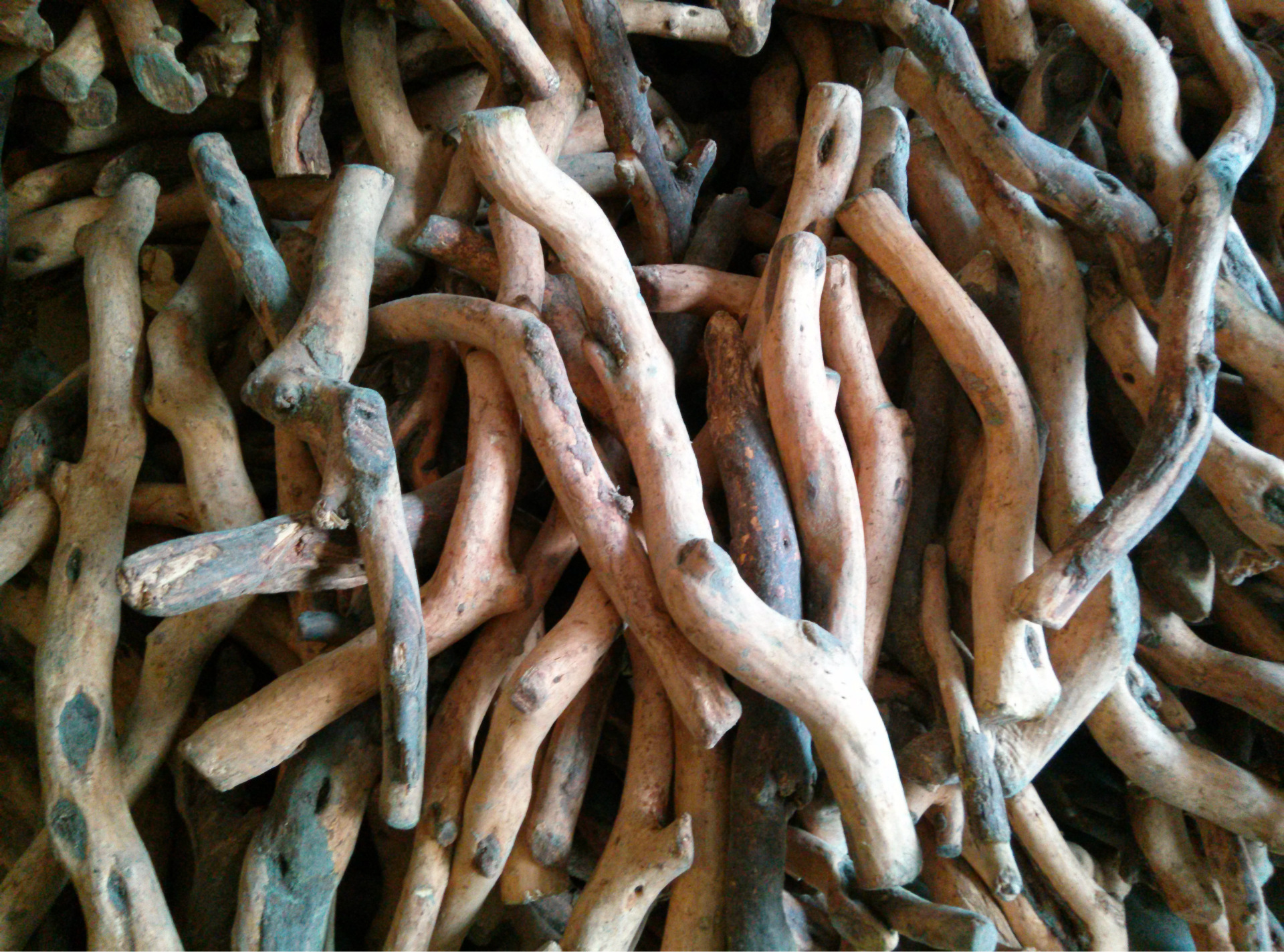 西澳大利亚檀香木小枝 香料 做香