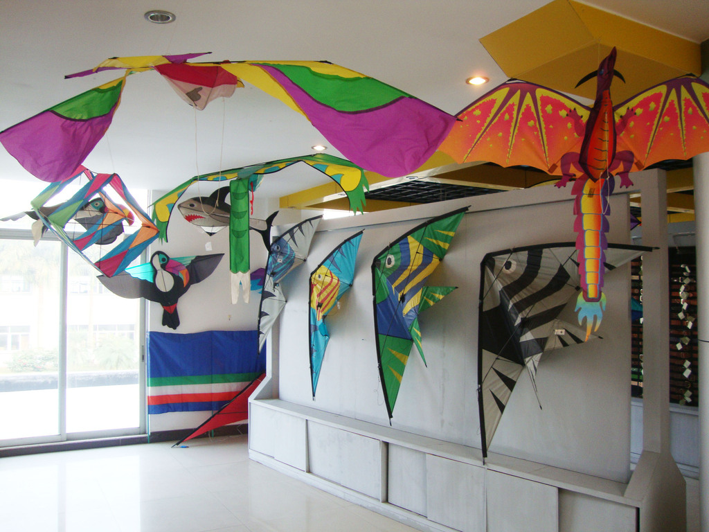 易飞图片,运动风筝 特技风筝 双线风筝 三角风筝.