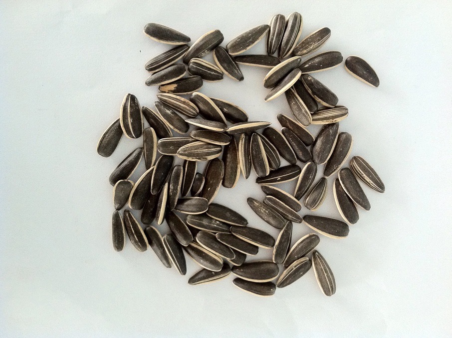 上海呱子王 特大瓜子 特味瓜子 精心研制 160g