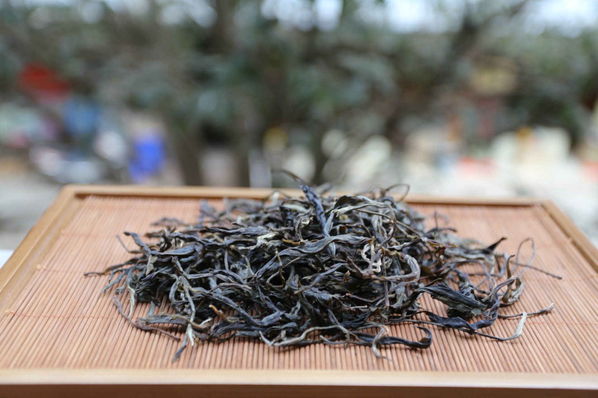 云南普洱茶布朗山古树生茶 勐海厂家批发原产地 量大从优益