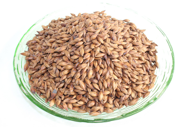 批发特级原味烘焙大麦茶 大麦花果茶 国产养生养颜保健