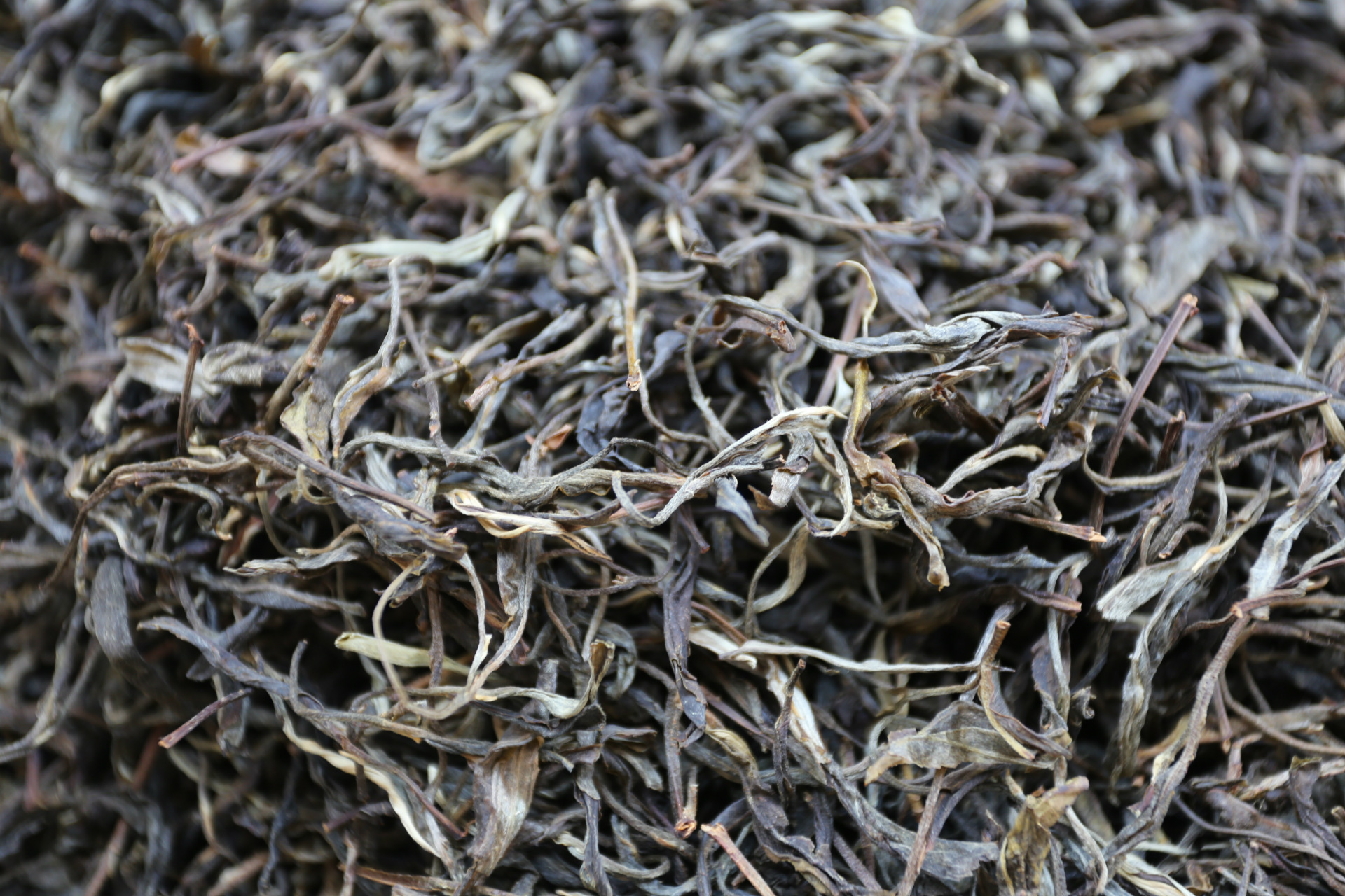 云南普洱茶布朗山古树生茶 勐海厂家批发原产地 量大从优益