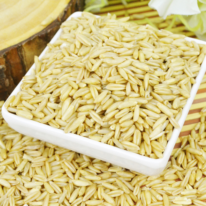 燕麦仁 颗粒燕麦 厂家直销 裸燕麦最优产区 营养丰富 健康食品