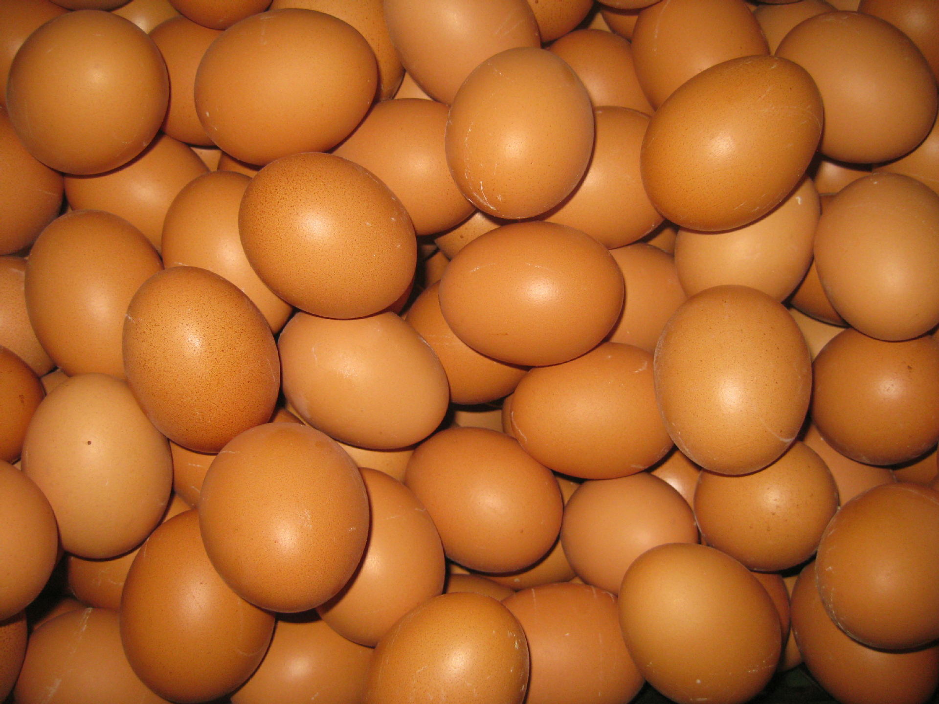 [ 金鸡禽蛋] 散装普通鸡蛋