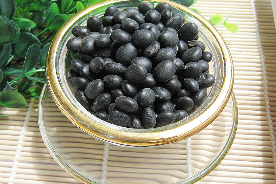 乌发,补肾,绿心黑皮,适宜脾虚水肿,脚气浮肿——大黑豆