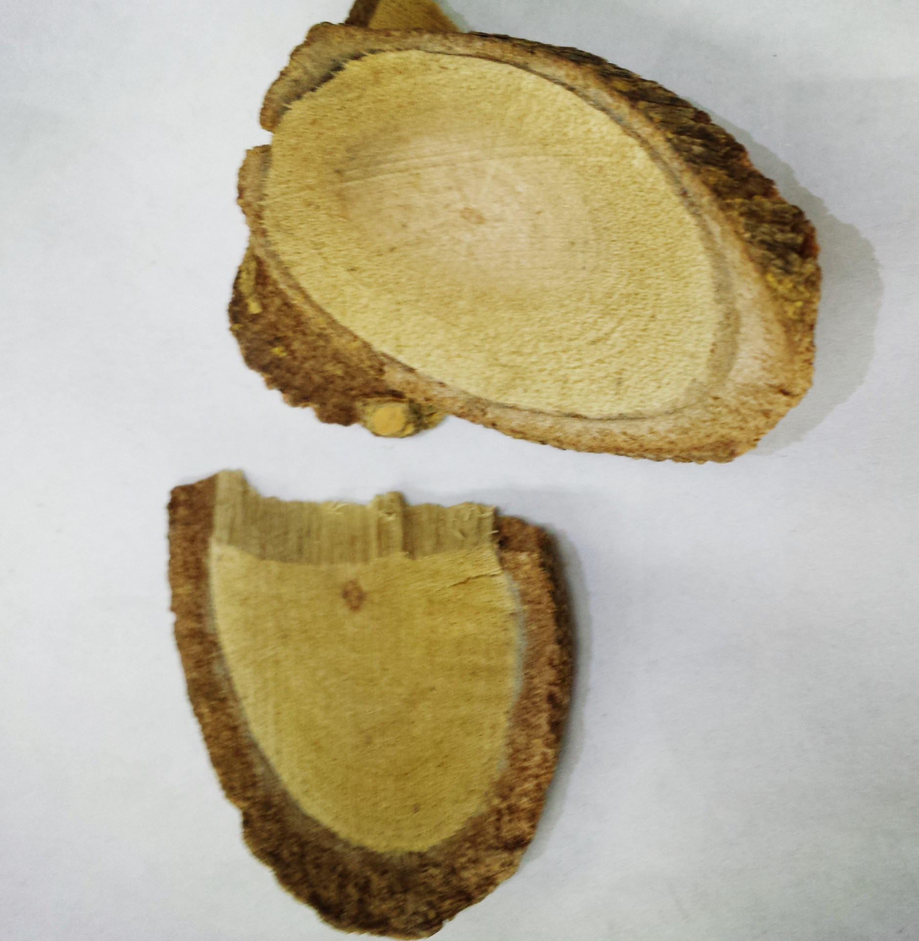 亳州销售根茎类两面针药材供应批发归经肺大肠中药大量批发供应