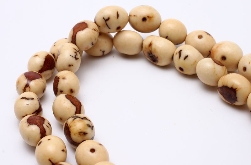大佛眼菩提子108颗天然菩提 9mm手串佛珠念珠手持