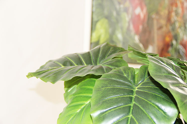 【中号包棕仙芋】滴水观音 家庭装饰仿真植物 仿真假树厂家批发图片_5