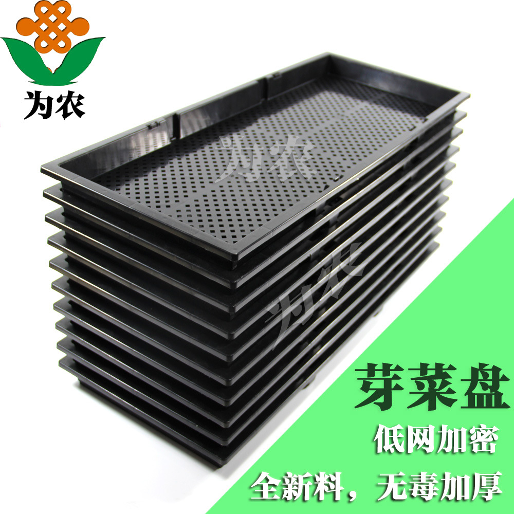 化蛹盘 大麦虫化蛹盘 大麦虫活体 化蛹盒