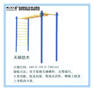 双云 室户外健身路径天梯肋木吊环云梯平梯学校公园广场训练器材