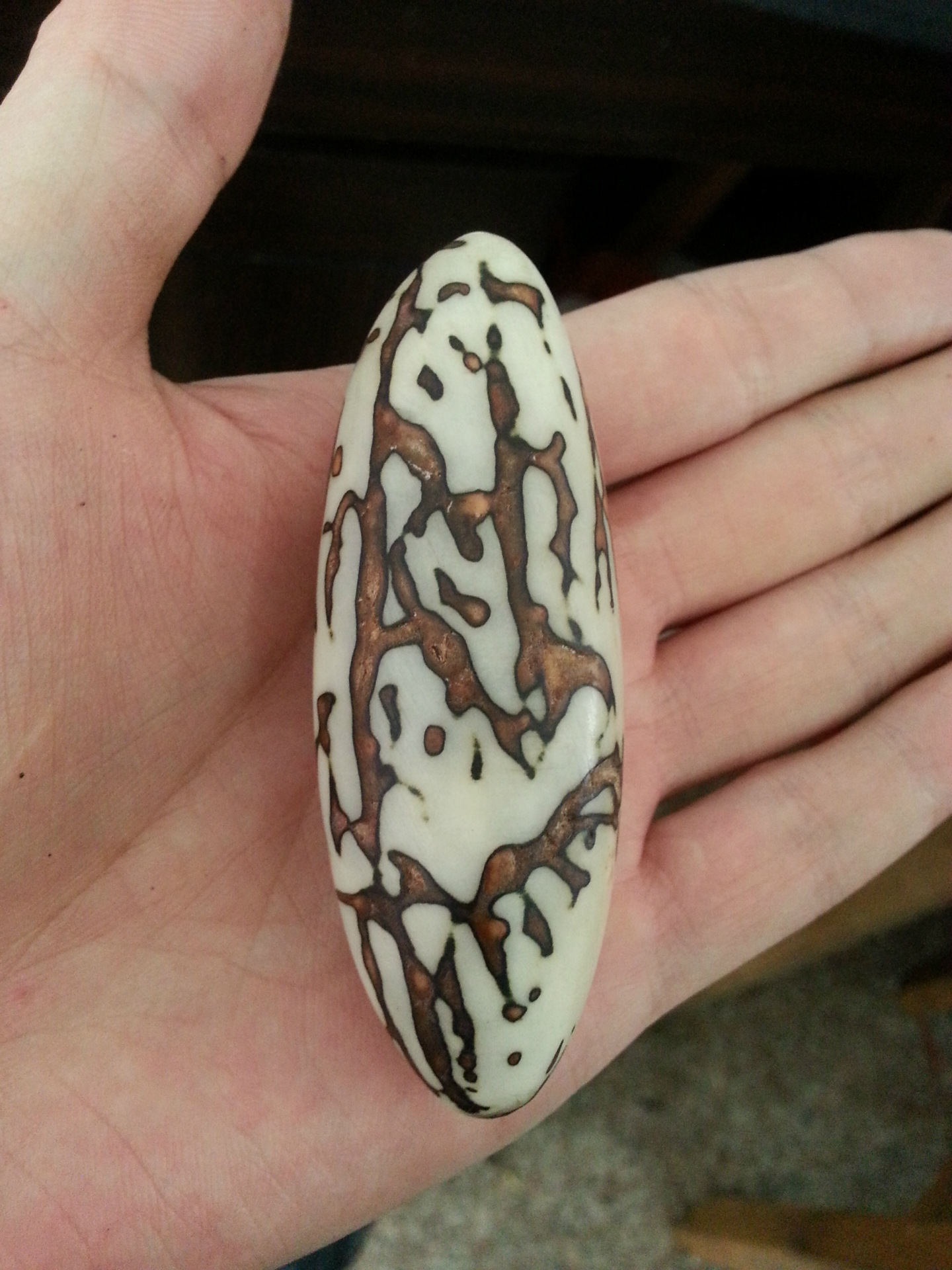 千眼菩提厂家直销 量大从优 质量保证 无虫眼 烂果