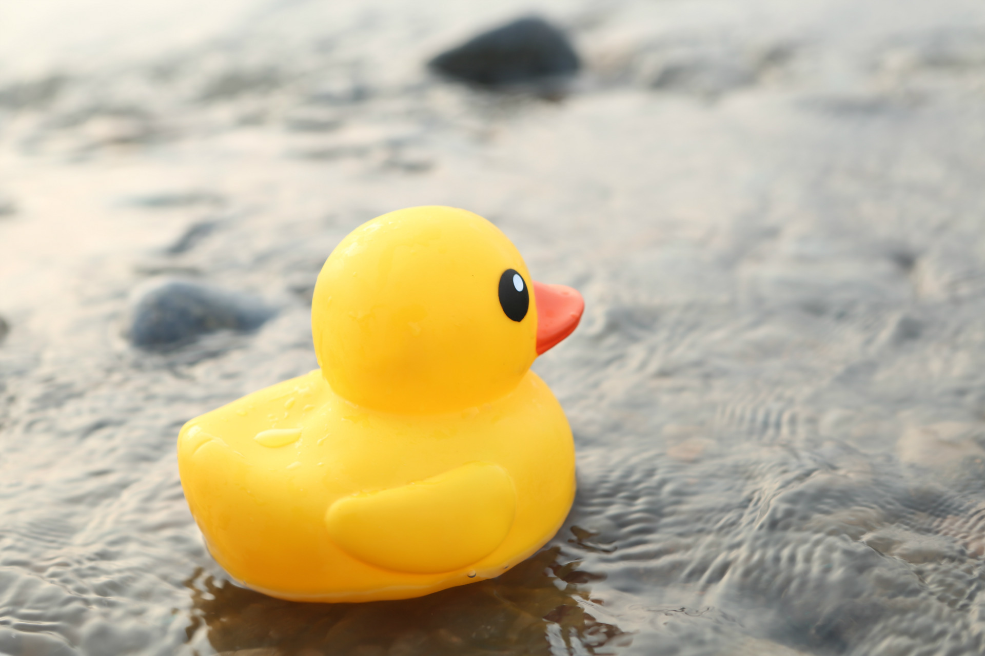 正版香港大黄鸭洗澡玩具 宝宝婴幼儿童戏水可爱小黄鸭 可印logo