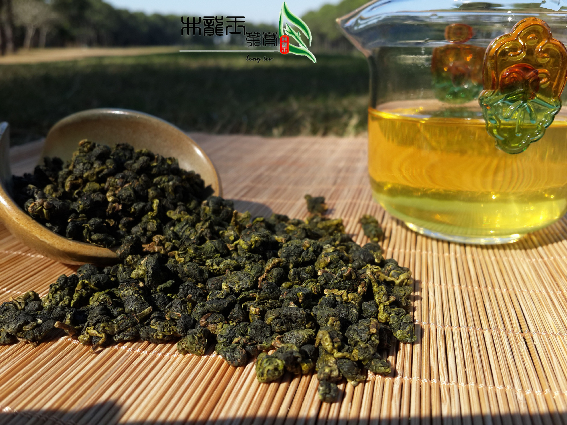 烏龍茶臺灣進口 高山茶臺灣杉林溪高冷茶 清爽甘順帶杉香烏龍茶葉圖片