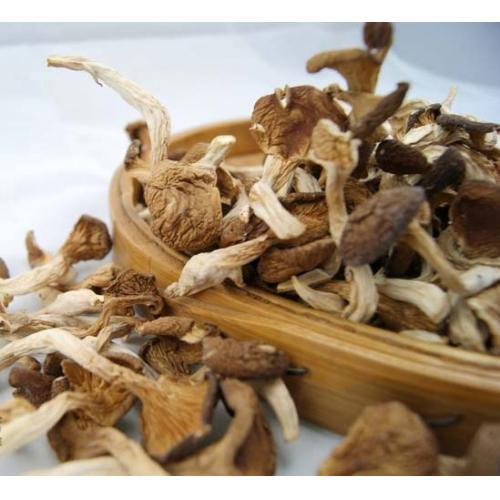 山东济南蟹味菇真姬菇玉蕈斑玉蕈干品食用菌价格 - 中国供应商移动版