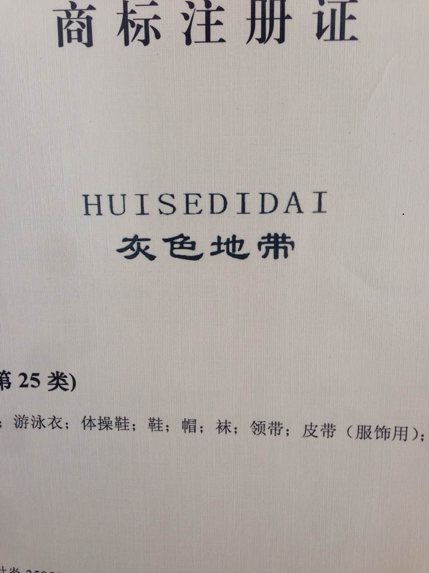 介绍 我公司旗下 (hui se di dai 灰色地带)品牌是经营靓仔男装为主