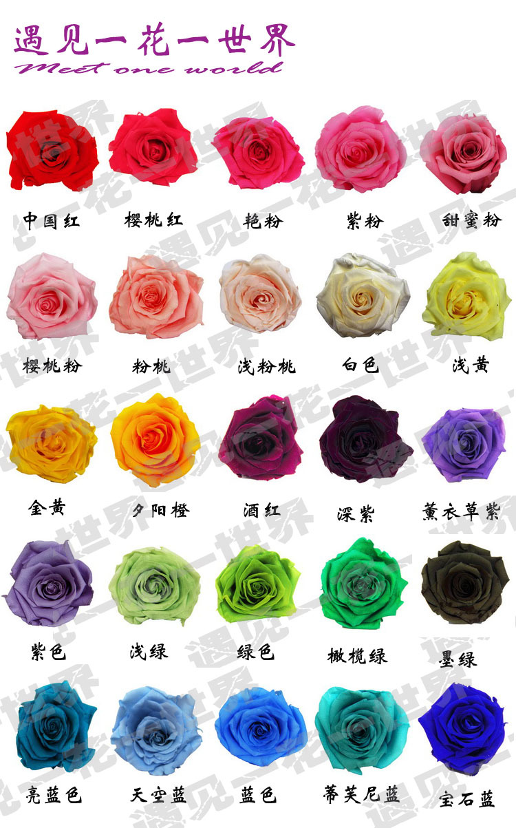 厂家直销出口级玫瑰花头 永生花批发 生日七夕diy创意礼物保鲜花