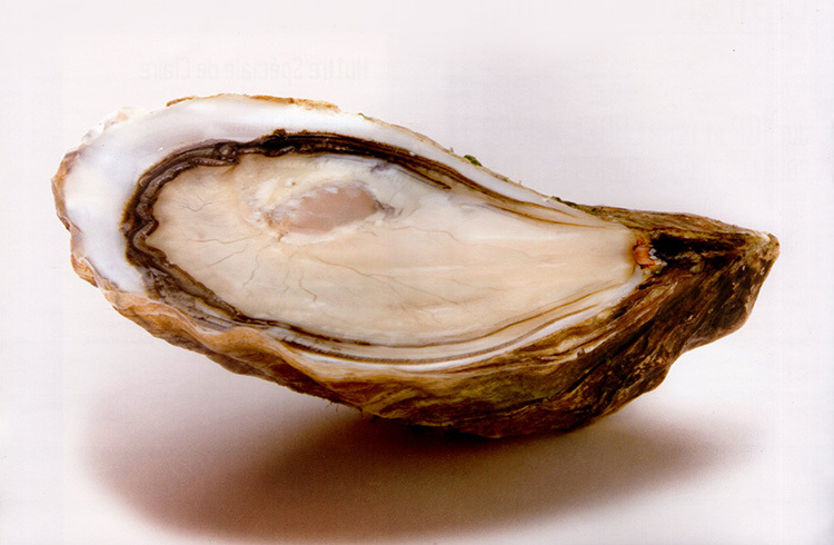 法国原装进口空运 海鲜 顶级生蚝 牡蛎 红标 po2 20件起订