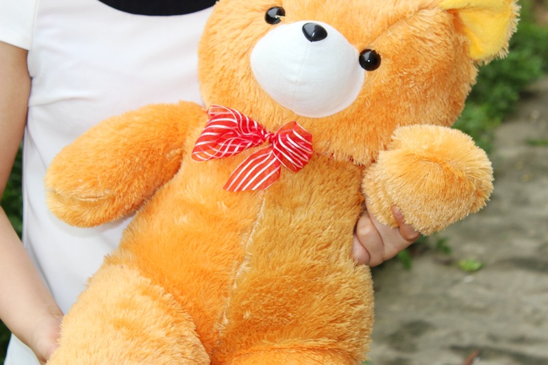 彩色泰迪熊批发抱抱熊 毛绒 玩具 大号 熊公仔 布娃娃