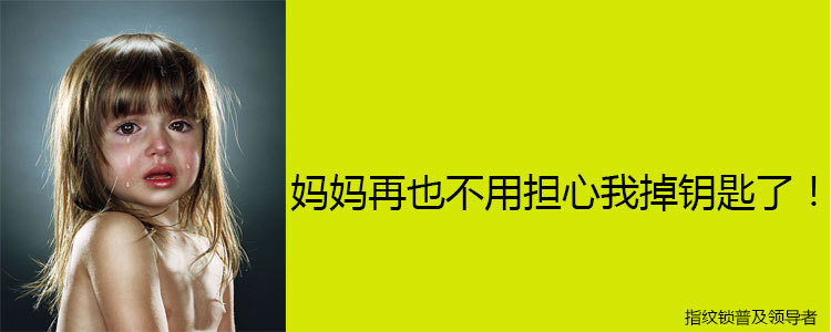 索乐达指纹锁密码锁防盗门触摸指纹锁家用智能锁