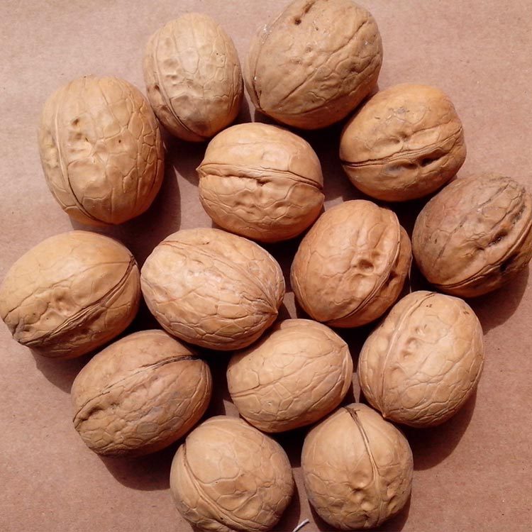 薄皮b货/新疆阿克苏新2薄皮核桃/小额批发/团购/礼品/蚨瑞庄园