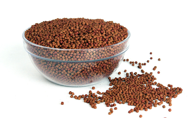 热带通用小型鱼血鹦鹉颗粒饲料 金鱼上浮饲料 锦鲤鱼粮600g