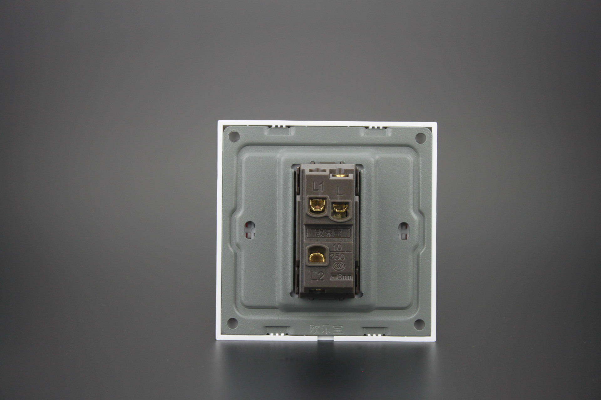 欧乐宝 生产厂家直供 工程款550a 一位开关双控