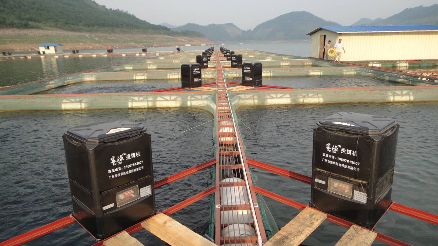 网箱投料机/网箱投饵机/投料机/投饵机 大海鱼机 网箱鱼