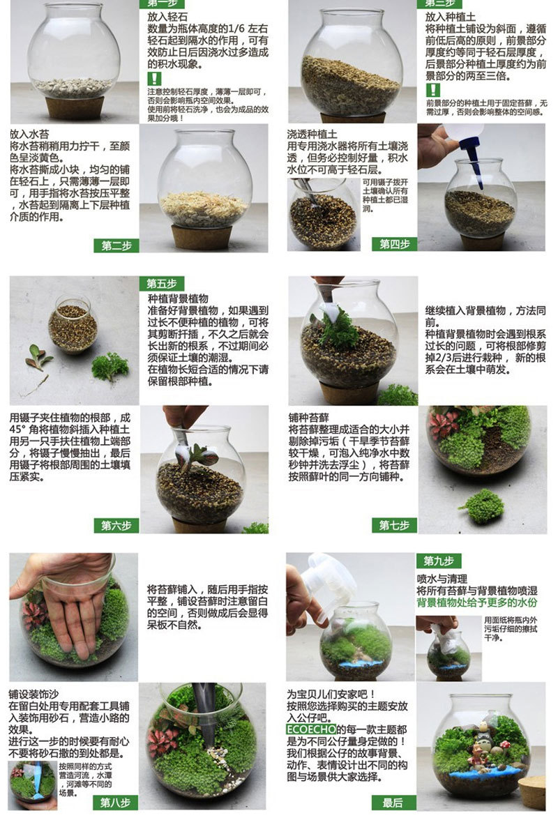 植物生态瓶的制作过程图片