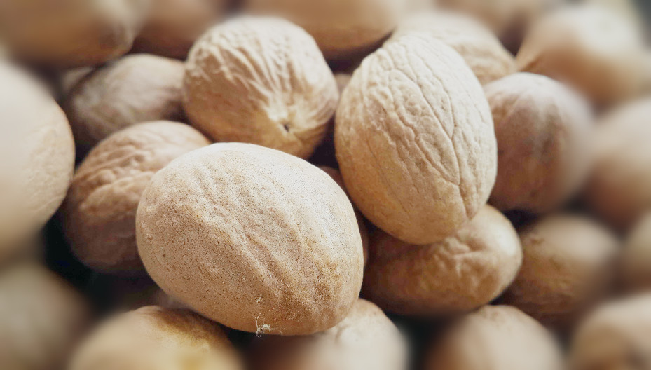 优质肉扣 天然精选玉果 调味品