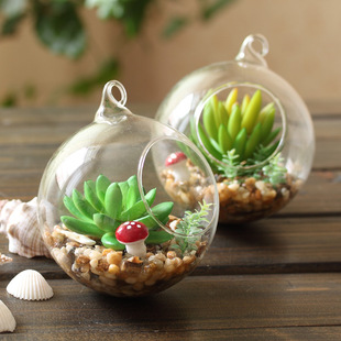 10cm玻璃瓶水晶球微景观仿真多肉植物zakka装饰盆栽摆件创意礼品