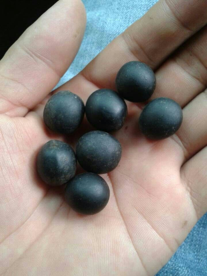 无患子菩提子原料预售 天然黑 一手货